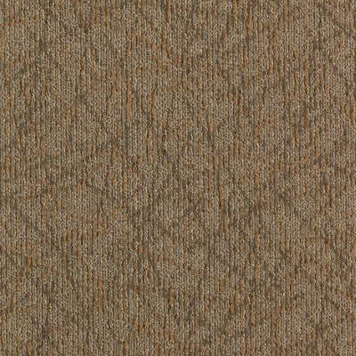 Aladdin Commerce Brilliantly Amazed 2B60-841 Completely Intuitive 24" x 24" Carpet Tile (96 SF/Box)