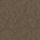 Aladdin Commerce Brilliantly Amazed 2B60-878 Statement Maker 24