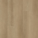 Aladdin Familiar Frontier II Plus AH080-167 Hazelnut 6