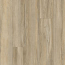 Aladdin Familiar Frontier II Plus AH080-878 Chestnut 6