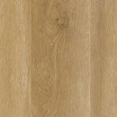 Aladdin Halong Bay Long Bien 4.5 Luxury Vinyl Tile AH090-014 Carlsbad 7