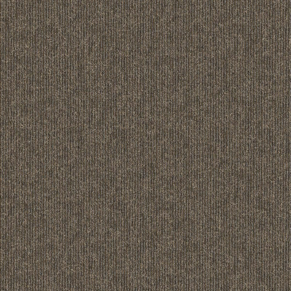 Aladdin Special Coverage Carpet Tile QA179-888 Special Report 24" x 24"