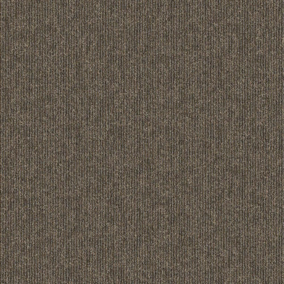 Aladdin Mas Media Special Coverage QA179-888 Special Report 24" x 24" Carpet Tile (96 SF/Box)