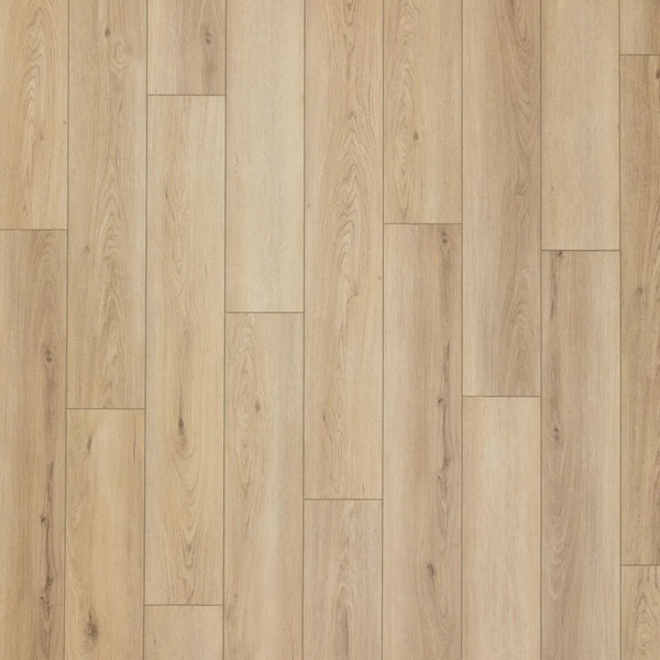 Aladdin Bentwood 5.0 AH127-822 Pierre 9