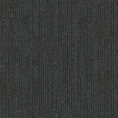 Aladdin Primary Effect Surface Stitch QA175-989 Shadow 24" x 24" Carpet Tile (96 SF/Box)