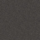 Aladdin Rule Breaker QA134-979 Charcoal 24