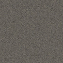 Aladdin Rule Breaker QA134-959 Nickel 24
