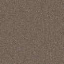 Aladdin Rule Breaker QA134-748 Praline 24