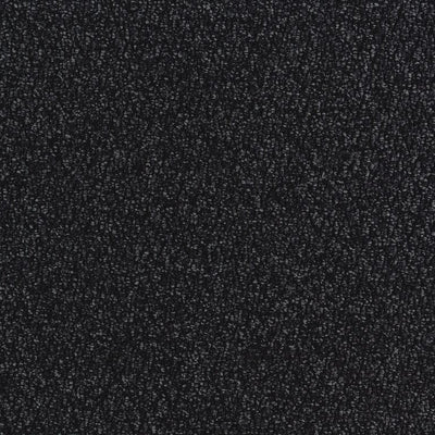 Aladdin Walk Off Walk The Walk QA68-989 Obsidian 24" x 24" Carpet Tile (56 SF/Box)