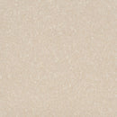 Armstrong Premium Excelon Crown Texture 5C811 Antique White VCT Tile (Partial Piece - Sample)