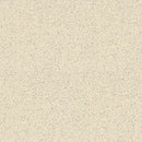 Armstrong Premium Excelon Stonetex 52139 Limestone Beige VCT Tile (Partial Piece - Sample)
