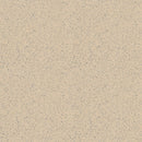 Armstrong Premium Excelon Stonetex 52143 Sandstone Tan VCT Tile (Partial Piece - Sample)