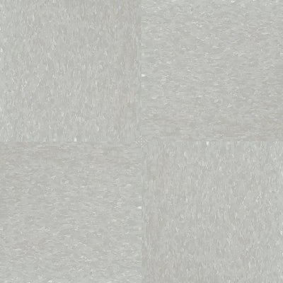 Armstrong Soft Warm Gray Slip Resistant VCT 51861SZ Safety Zone Tile 12" x 12" (45 SF/Box)