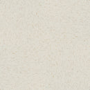 Armstrong Cool White Slip Resistant VCT 51899SZ Safety Zone Tile (Partial Piece - Sample)