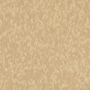 Armstrong 59241 Honey Standard Excelon Imperial Texture Vinyl Composition Tile VCT 12