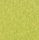 Armstrong 57510 Kickin Kiwi Standard Excelon Imperial Texture Vinyl Composition Tile VCT 12
