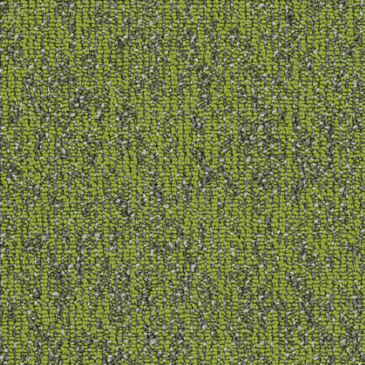 Philadelphia Commercial Basin 54847-00315 Taiga 9" x 36" Carpet Tile
