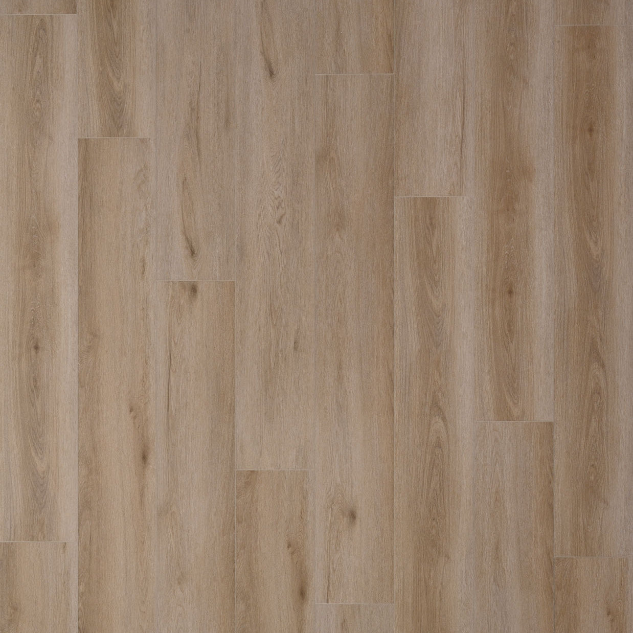 Bella Cera Piedmont BC9620BCFV Beach Crest Floating LVT