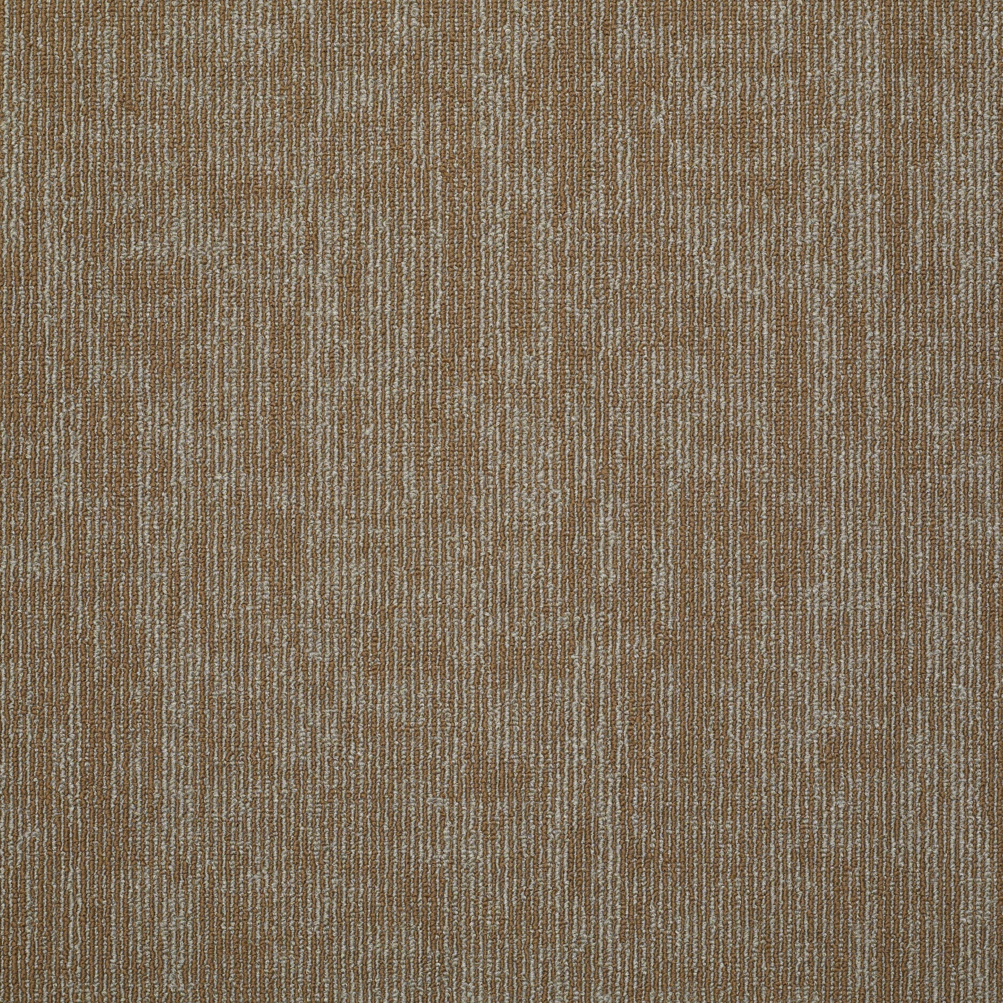 Philadelphia Commercial Carbon Copy 54806-06600 Duplicate 24" x 24" Carpet Tile