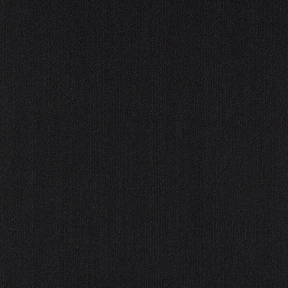 Philadelphia Commercial Color Accents 18 X 36 54786-62505 Black 18" x 36" Carpet Tile