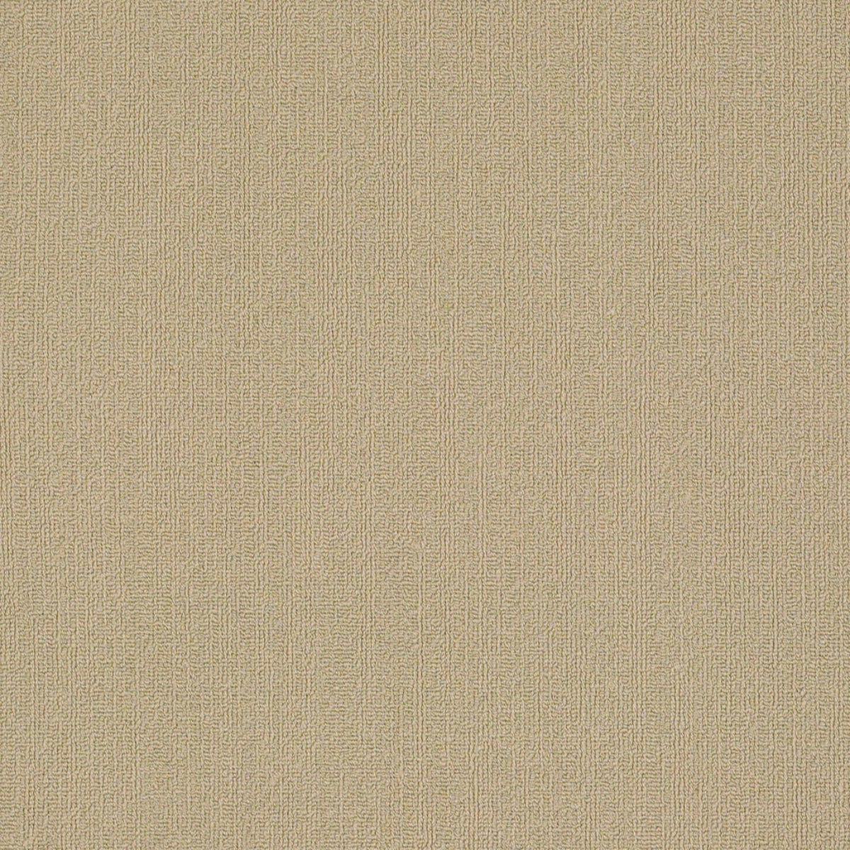 Philadelphia Commercial Color Accents 18 X 36 54786-62706 Cashmere 18" x 36" Carpet Tile