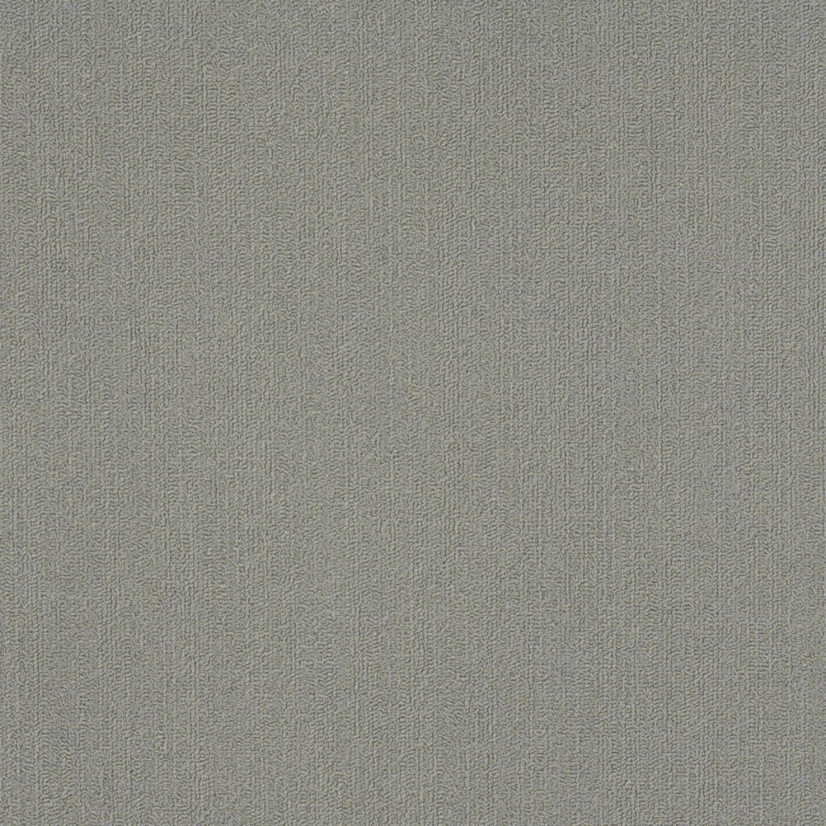 Philadelphia Commercial Color Accents 18 X 36 54786-62555 Med Gray 18" x 36" Carpet Tile