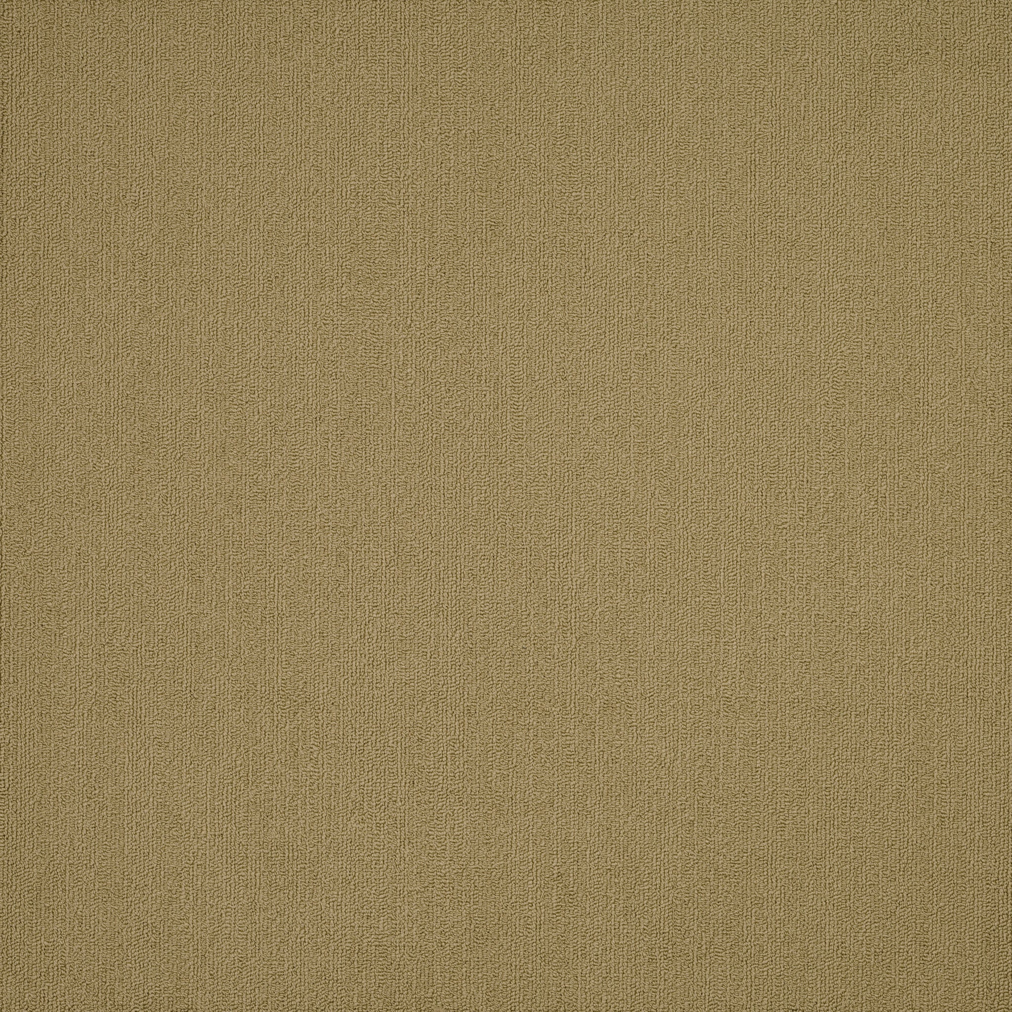Philadelphia Color Accents 54462-62546 Aloe 24" x 24" Carpet Tile (48 SF/Box)