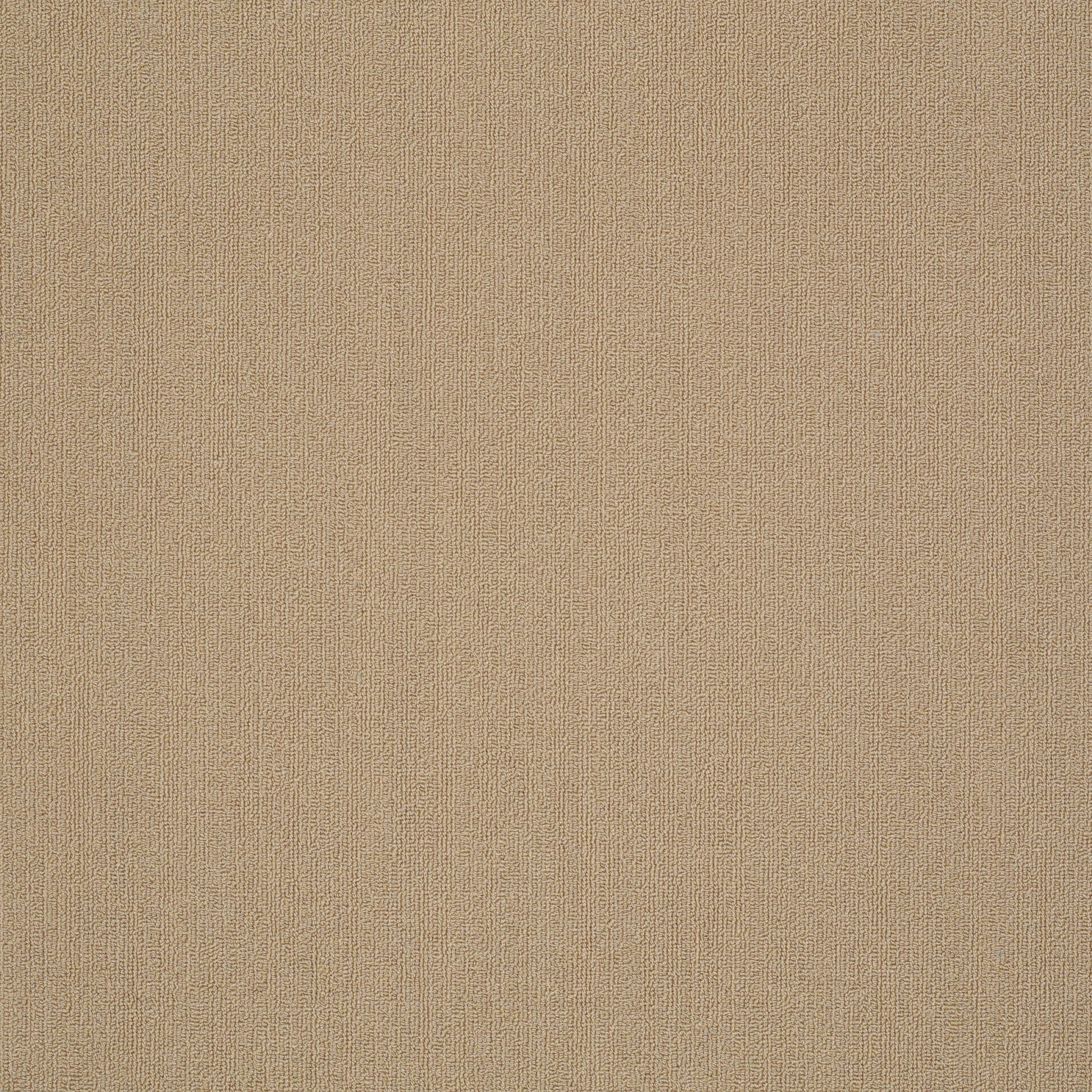 Philadelphia Commercial Color Accents 54462-62171 Autumn Gold 24" x 24" Carpet Tile