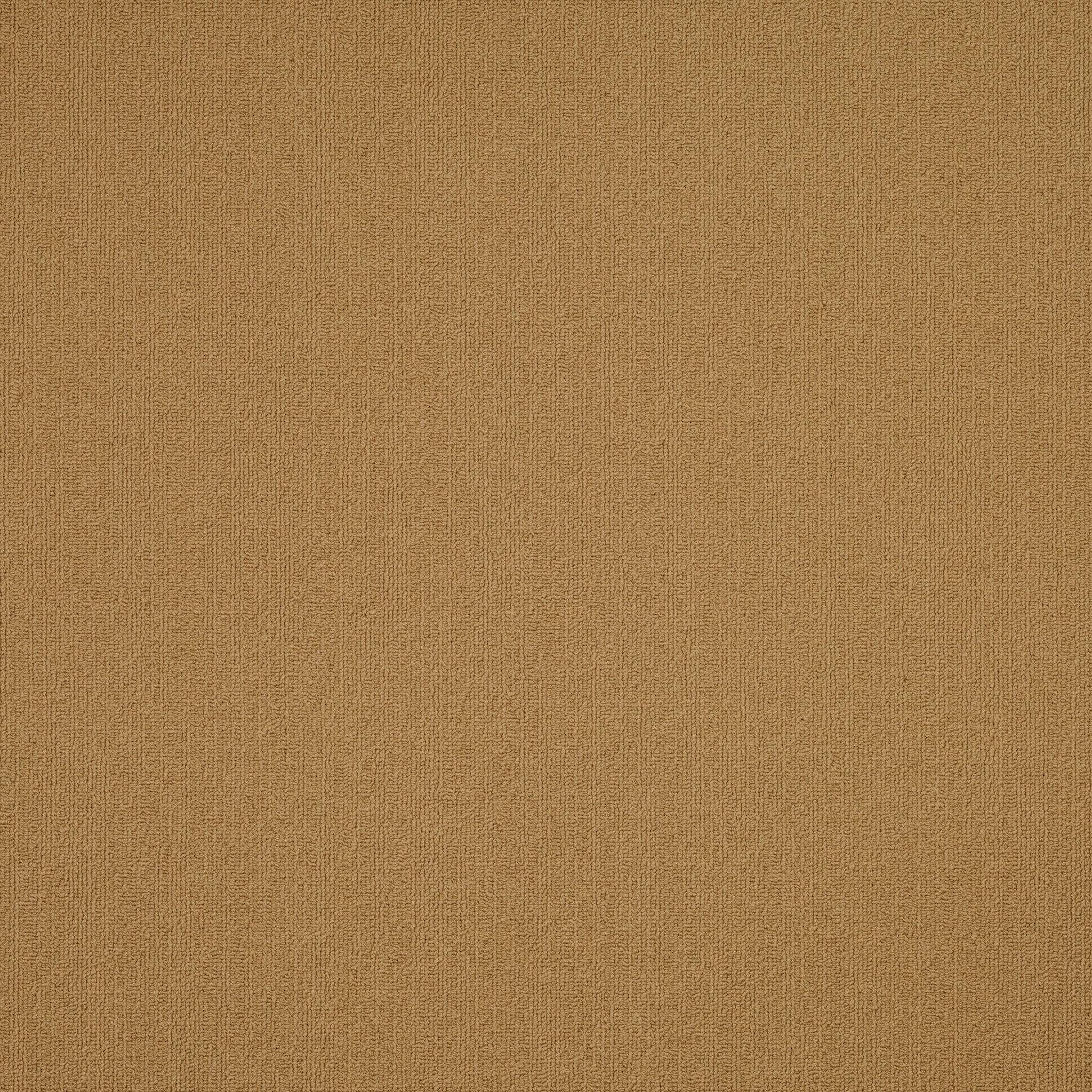 Philadelphia Color Accents 54462-62725 Brasserie 24" x 24" Carpet Tile (48 SF/Box)