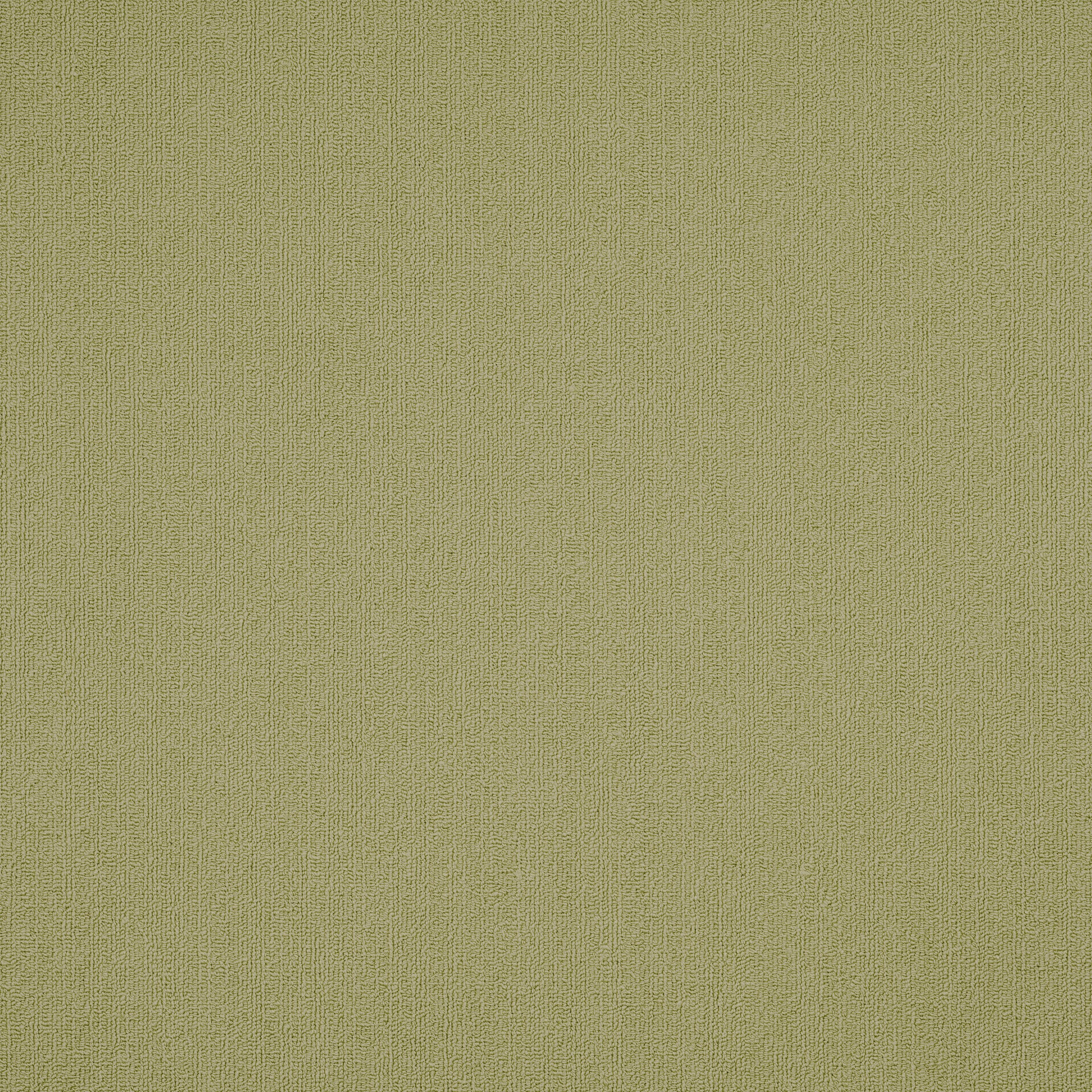 Philadelphia Commercial Color Accents 54462-62545 Fescue 24" x 24" Carpet Tile