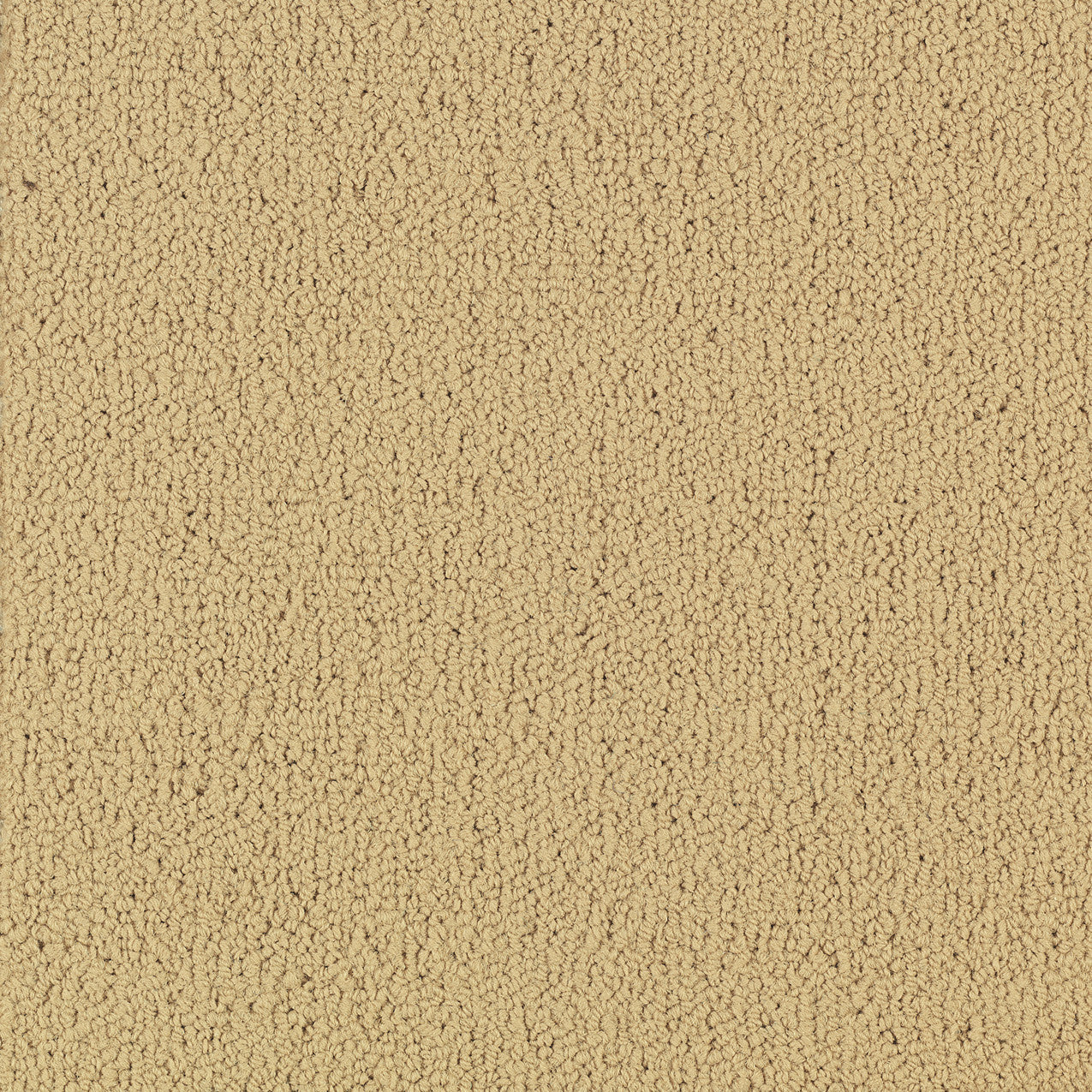 Philadelphia Commercial Color Accents 54462-62122 Flax 24" x 24" Carpet Tile