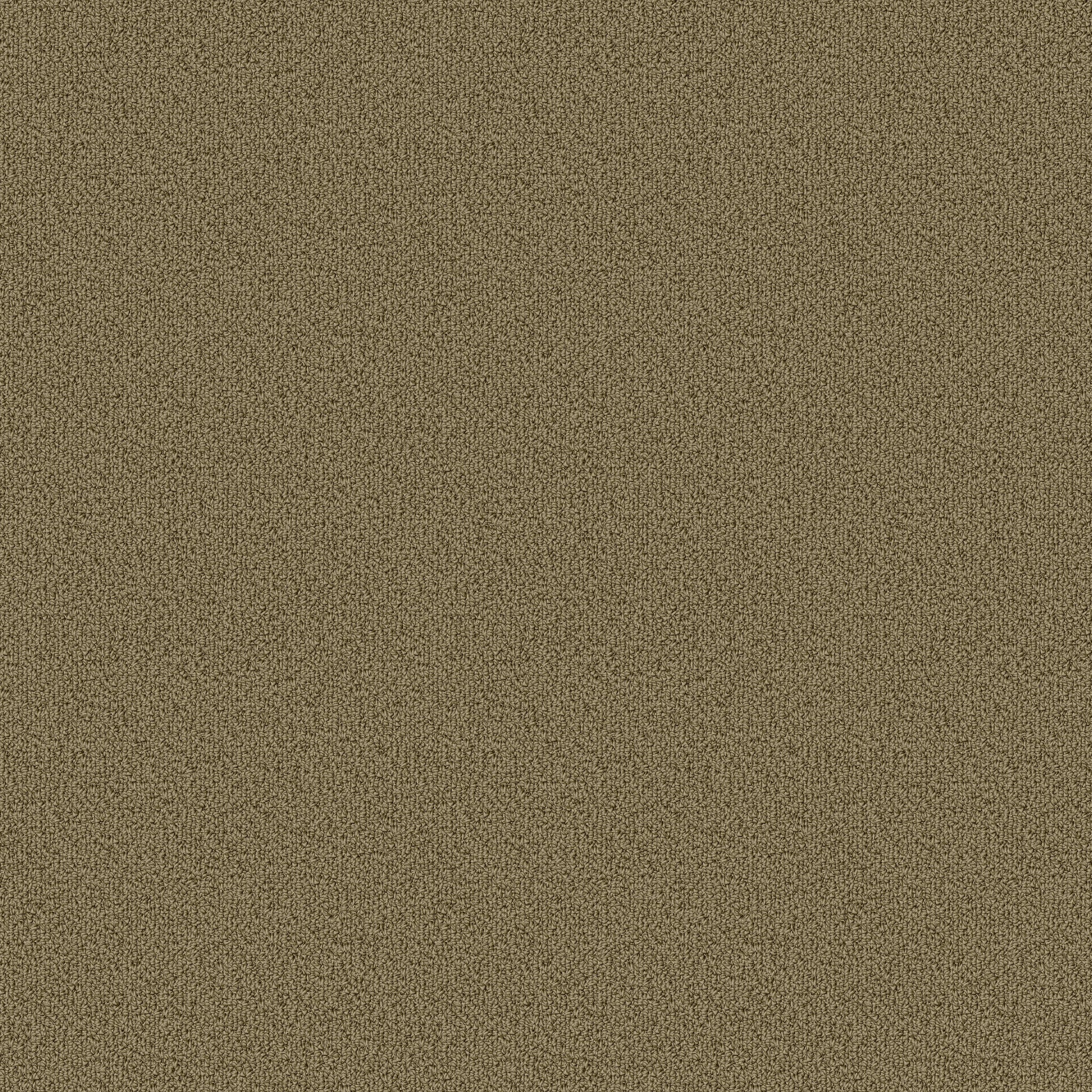 Philadelphia Commercial Color Accents 54462-62302 Herbal 24" x 24" Carpet Tile