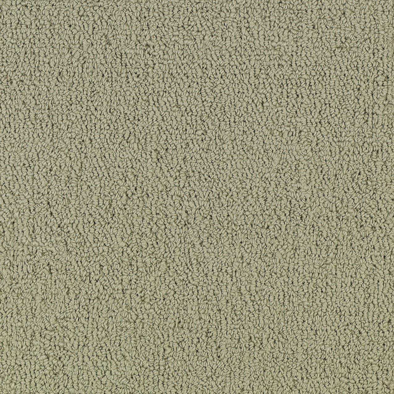 Philadelphia Commercial Color Accents 54462-62104 Light Taupe 24" x 24" Carpet Tile