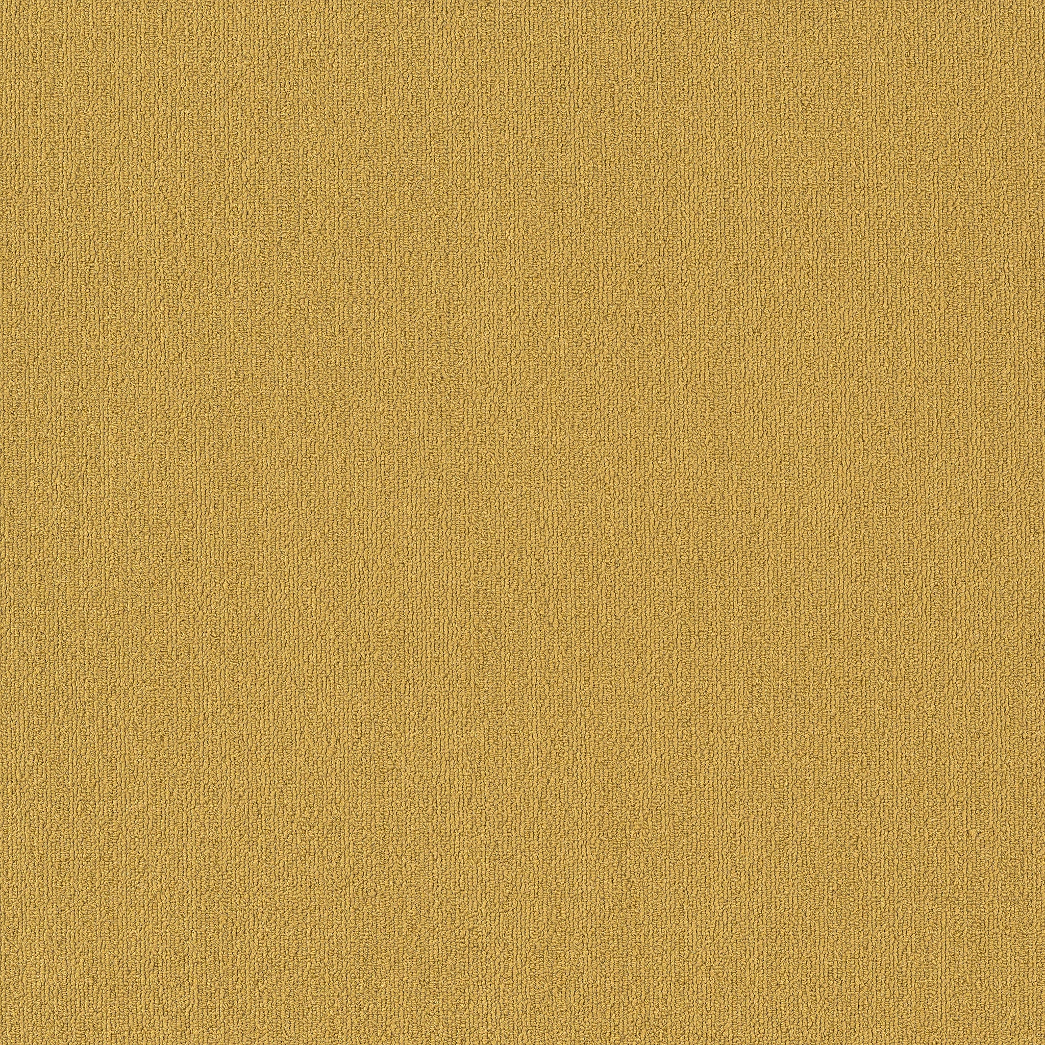 Philadelphia Commercial Color Accents 54462-62210 Ochre 24" x 24" Carpet Tile