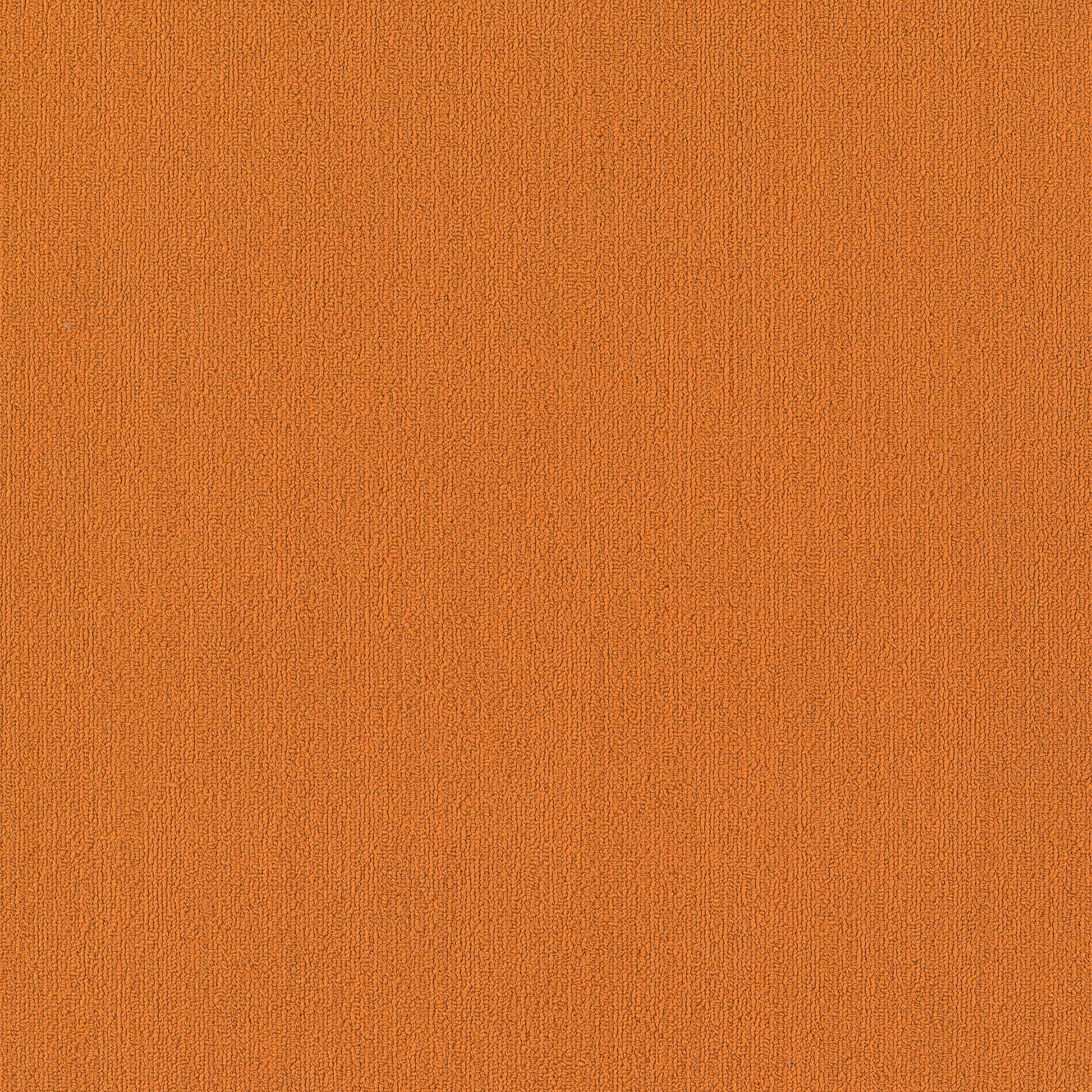 Philadelphia Color Accents 54462-62675 Orange 24" x 24" Carpet Tile (48 SF/Box)