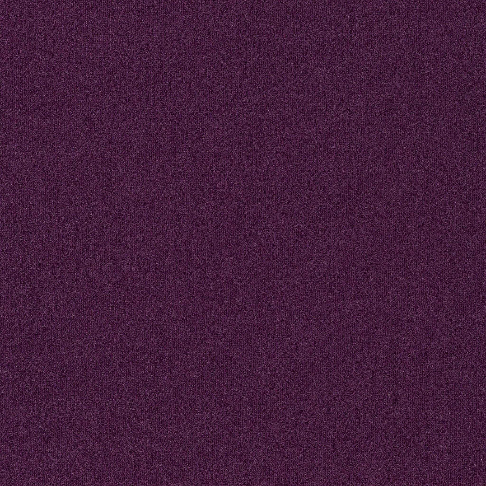 Philadelphia Color Accents 54462-62901 Purple 24" x 24" Carpet Tile (48 SF/Box)