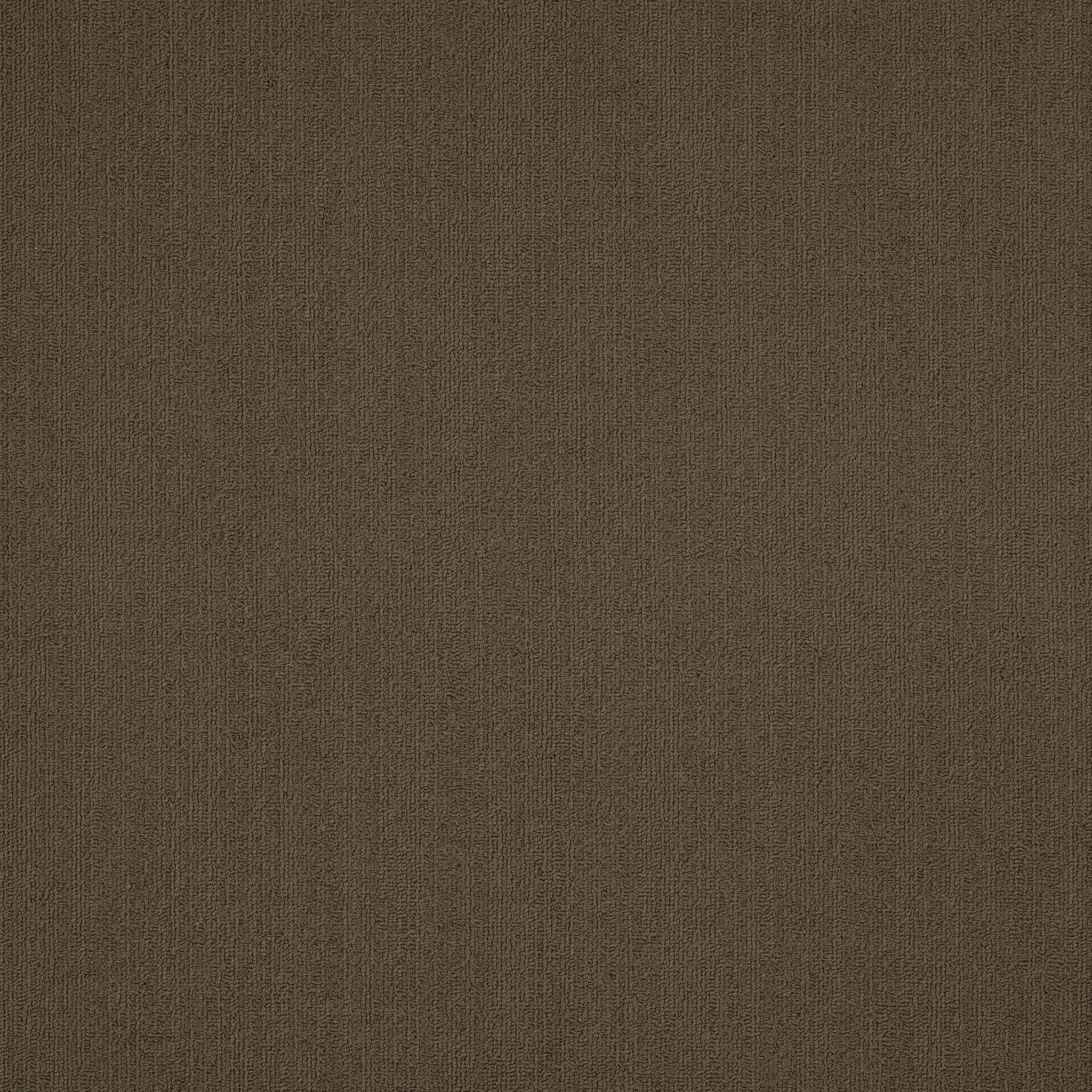 Philadelphia Commercial Color Accents 54462-62309 Timber 24" x 24" Carpet Tile
