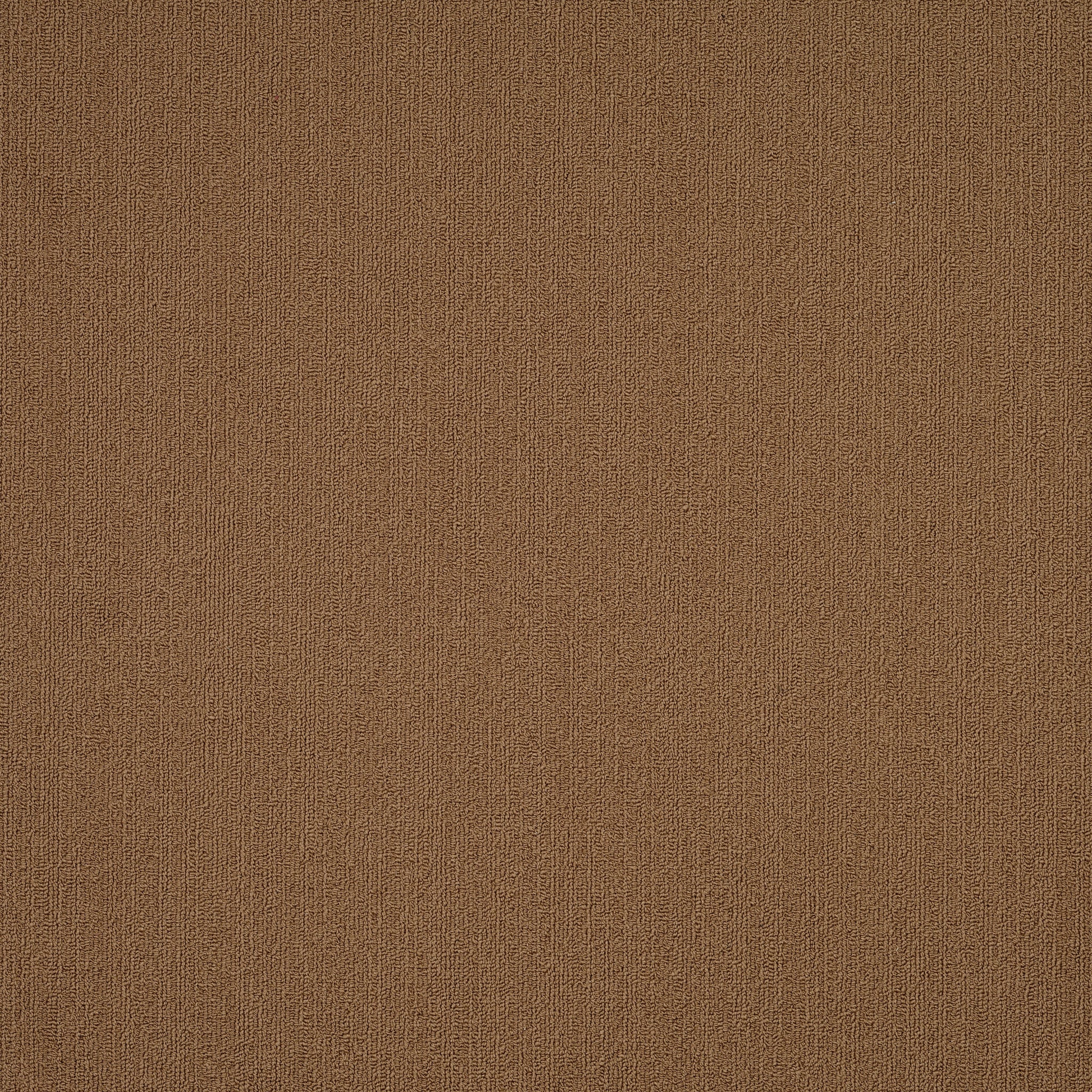 Philadelphia Commercial Color Accents 54462-62150 Tobacco 24" x 24" Carpet Tile