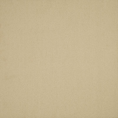 Philadelphia Color Accents 54462-62145 Tumbleweed 24" x 24" Carpet Tile (48 SF/Box)