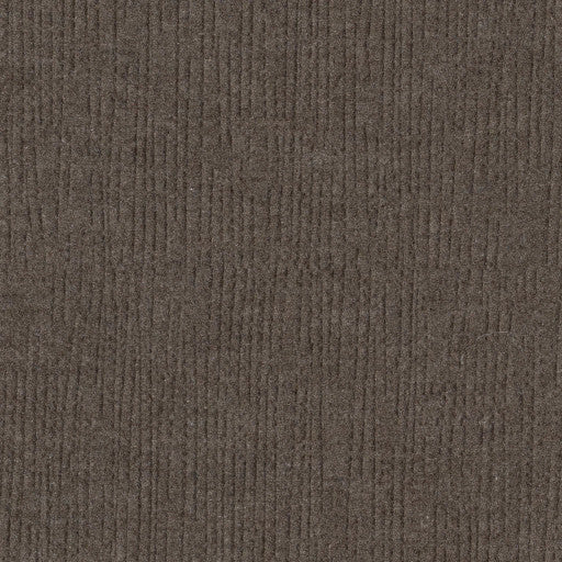 Philadelphia Commercial Color Fields 54986-00750 Haze 48" x 12" Carpet Tile