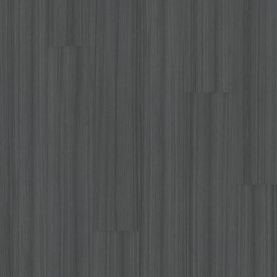 Philadelphia Commercial Color Scope 20 5039V-00580 Onyx (Partial Piece - Sample)