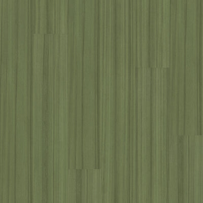 Philadelphia Color Scope 5 5041V-00350 Cactus 6" x 48" Luxury Vinyl Tile (20 SF/Box)