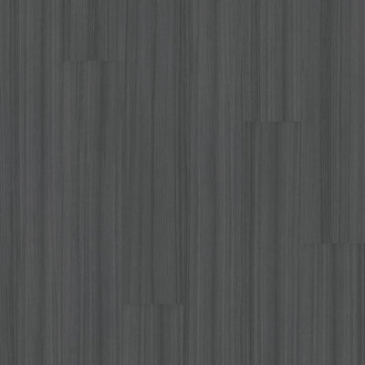 Philadelphia Color Scope 5 5041V-00580 Onyx 6" x 48" Luxury Vinyl Tile (20 SF/Box)