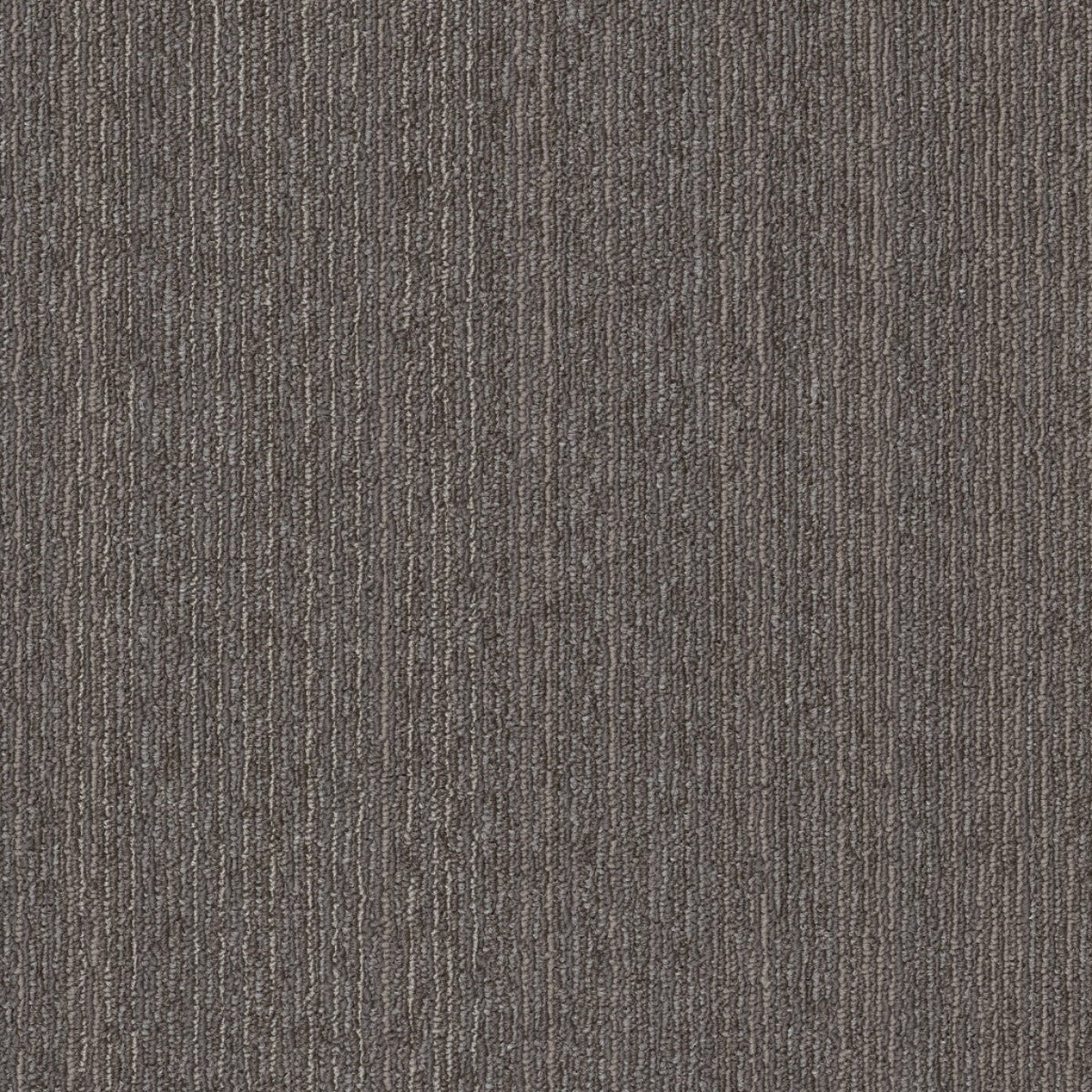 Philadelphia Commercial Conversion 54974-00700 Recast 18" x 36" Carpet Tile