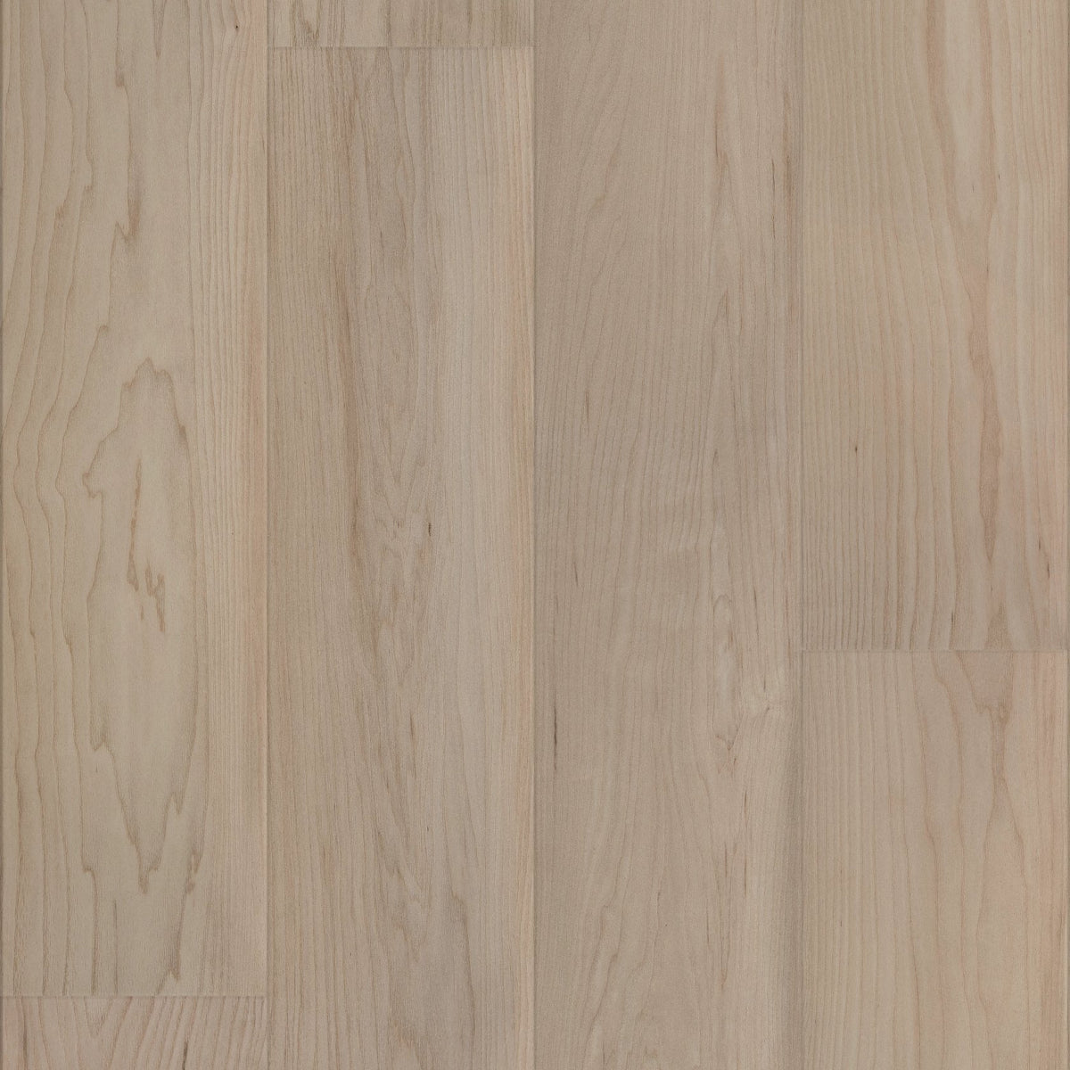 COREtec Coastal Luxe Coastal Dune Maple 9