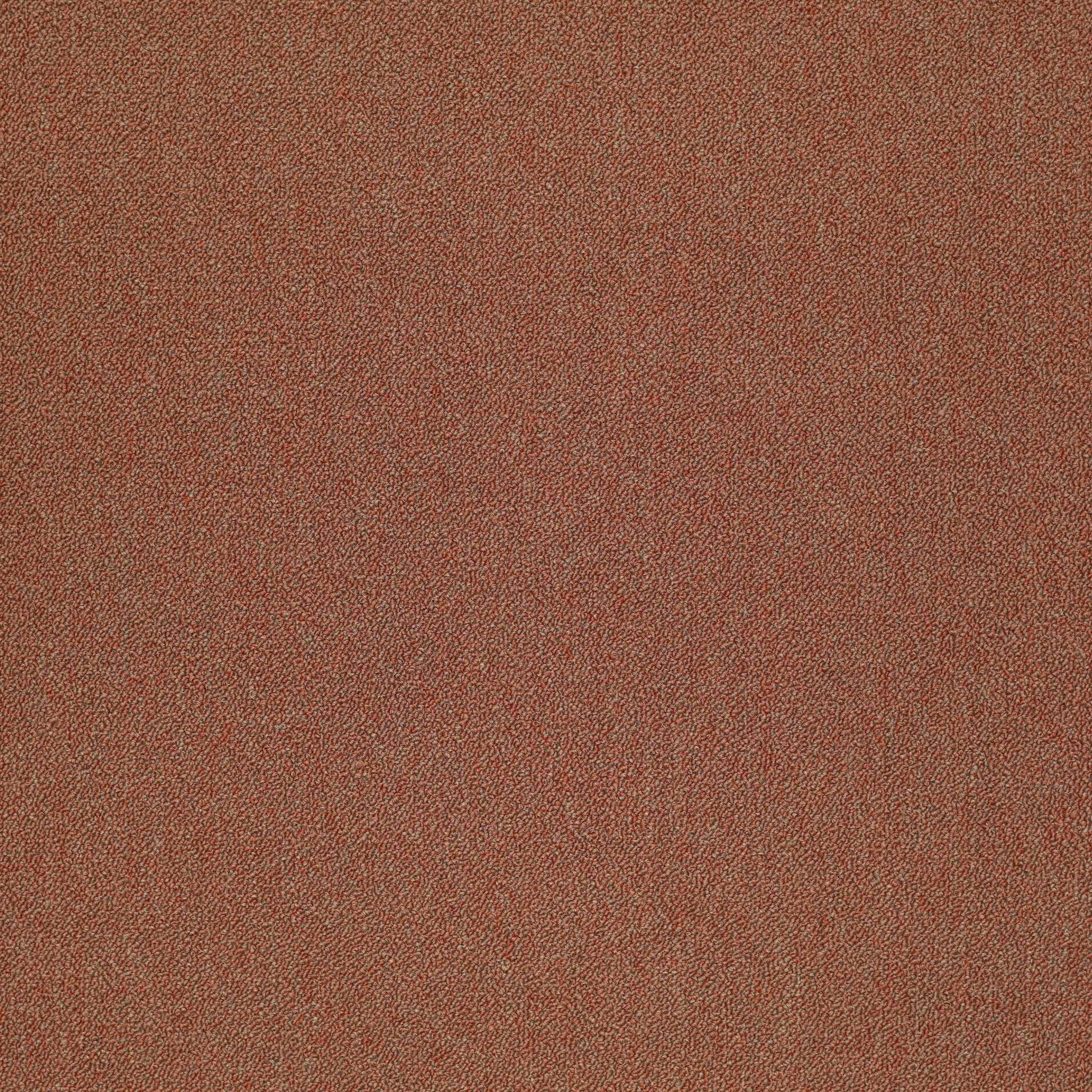 Philadelphia Commercial Counterpart 54816-16800 Accomplice 24" x 24" Carpet Tile