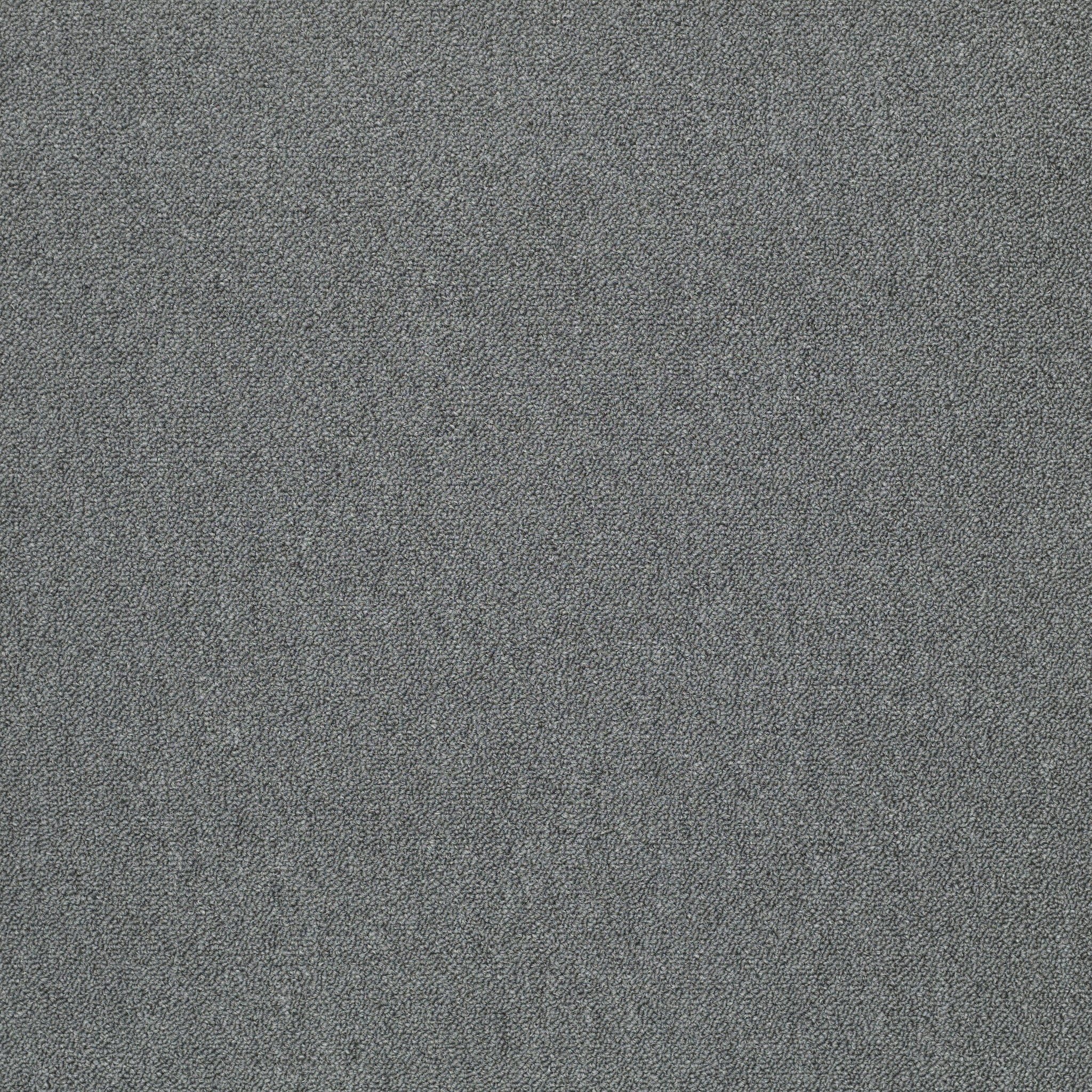Philadelphia Commercial Counterpart 54816-16507 Identical 24" x 24" Carpet Tile