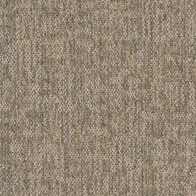 Philadelphia Beyond Basic Crazy Smart 54841-00200 Astute 18" x 36" Carpet Tile (45 SF/Box)