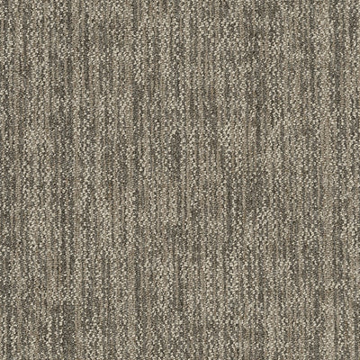 Philadelphia Beyond Basic Crazy Smart 54841-00100 Savvy 18" x 36" Carpet Tile (45 SF/Box)