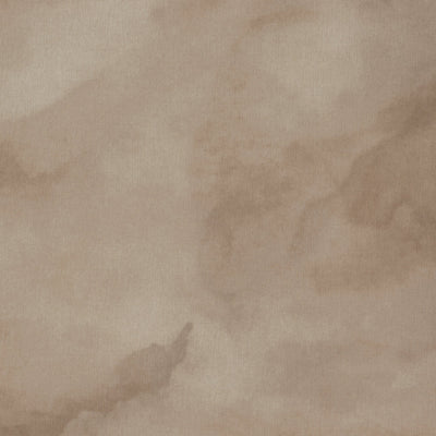 Philadelphia Commercial Cumulus 5043V-07298 Horizon (Partial Piece - Sample)